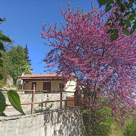 Forestrock Studio For Sale Too Σπάρτη Εξωτερικό φωτογραφία