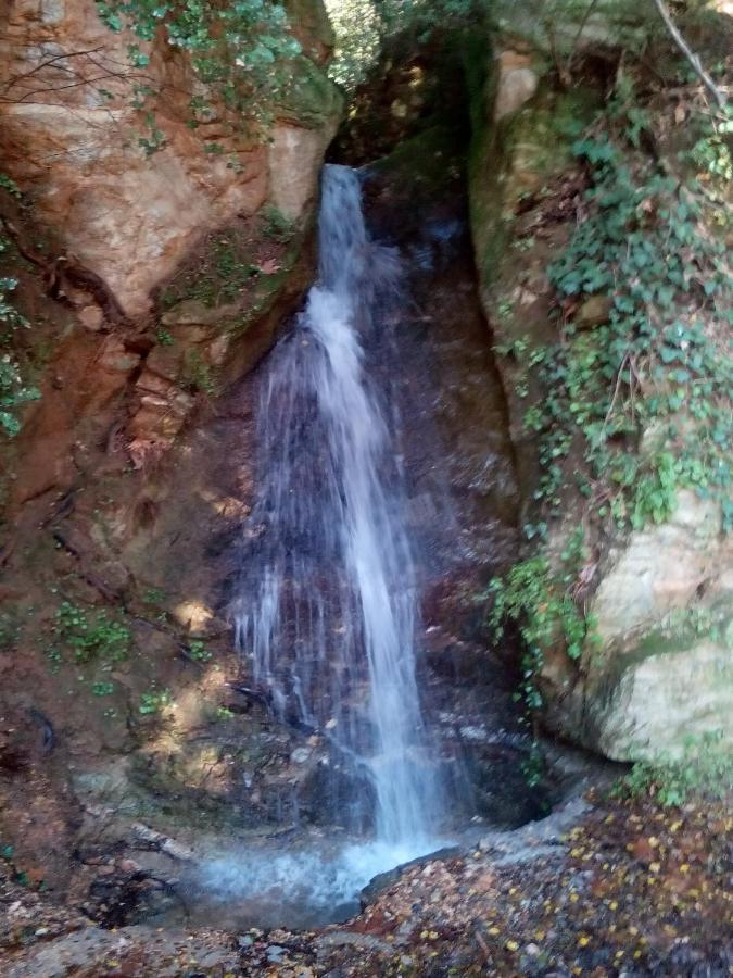 Forestrock Studio For Sale Too Σπάρτη Εξωτερικό φωτογραφία