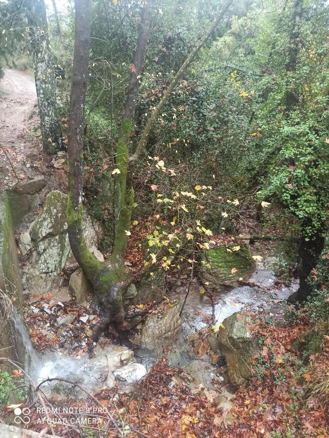 Forestrock Studio For Sale Too Σπάρτη Εξωτερικό φωτογραφία