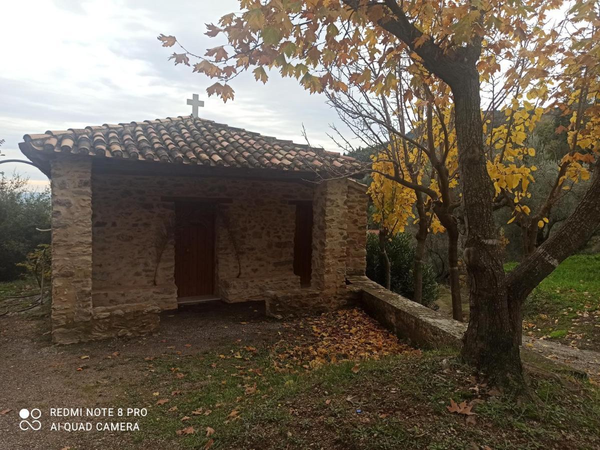Forestrock Studio For Sale Too Σπάρτη Εξωτερικό φωτογραφία