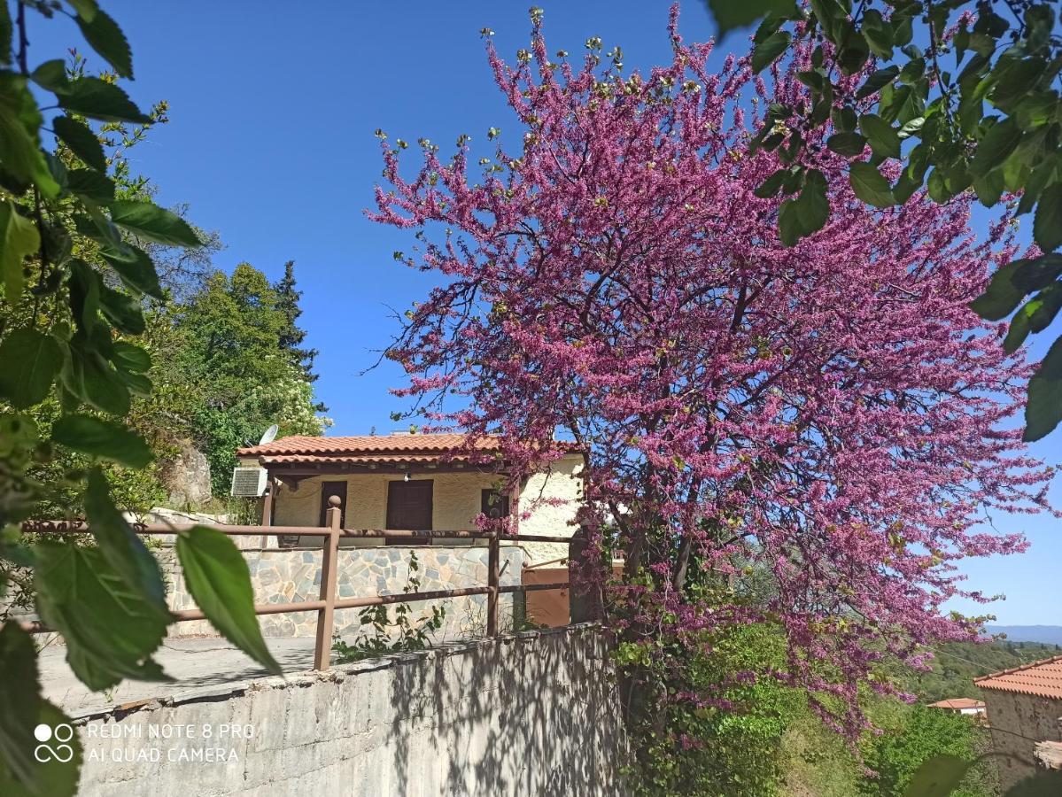 Forestrock Studio For Sale Too Σπάρτη Εξωτερικό φωτογραφία